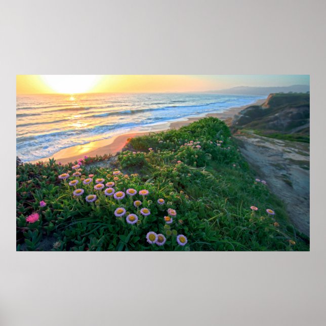 Pôster Um dia glorioso (Frente)