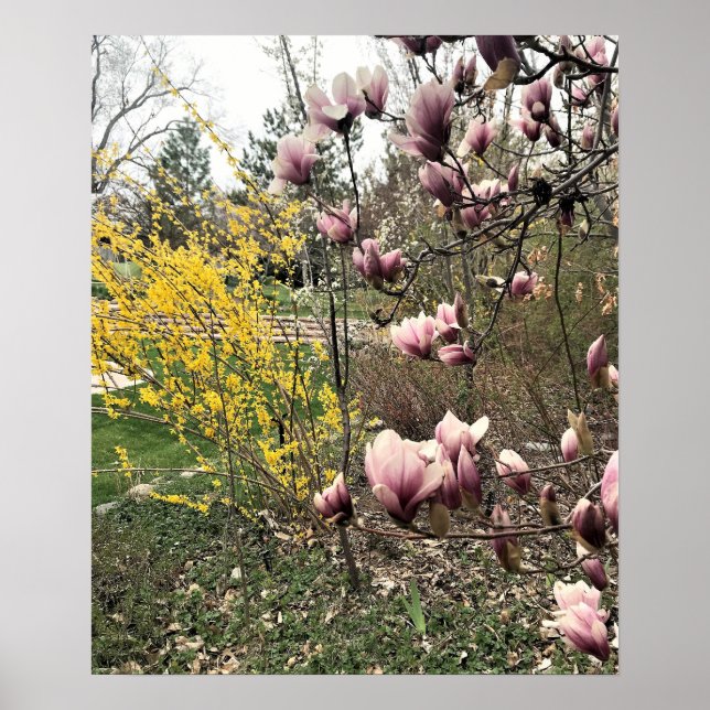 Poster Um dia no parque (Frente)