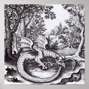Pôster Um dragão na floresta