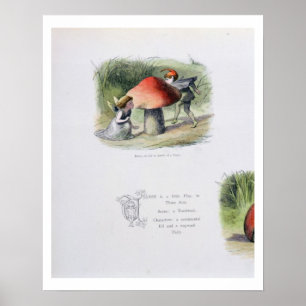 Pôster Um duende à procura de uma fada, ilustração 'de
