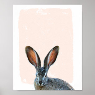 Poster Um enfermeiro de coelho de orelha longa espia um b