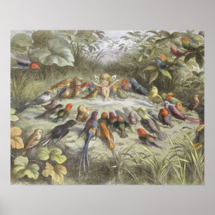 Pôster Um ensaio na terra feericamente, ilustração de '