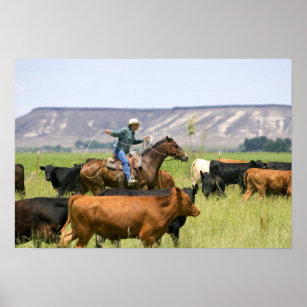 Poster Um fazendeiro em cavalo durante um cerco de gado