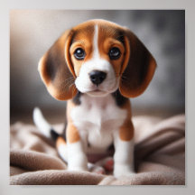 Um filhote de beagle bonito com lindos olhos