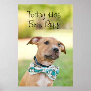 Poster Um filhote de cachorro de Brown veste um laço
