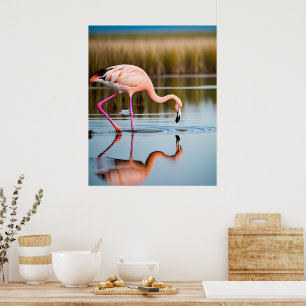 Poster Um Flamingo Rosa Vendo seu Reflexo na Água