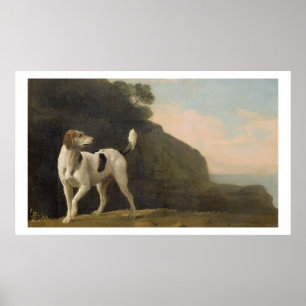 Poster Um Foxhound, c.1760 (óleo no papel colocado a