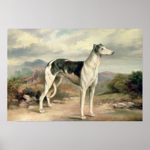 Pôster Um galgo em uma paisagem montanhosa