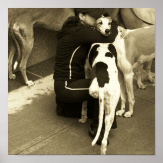 Poster um galinheiro com três pernas