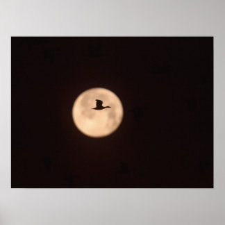 Poster Um Ganso De Neve Contra Uma Lua Cheia | Novo Méxic