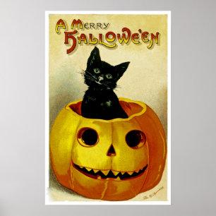 Poster Um gatinho alegre do Dia das Bruxas