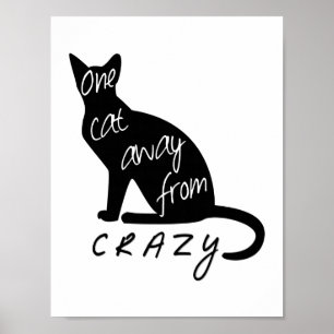Poster Um gato longe de LOUCO