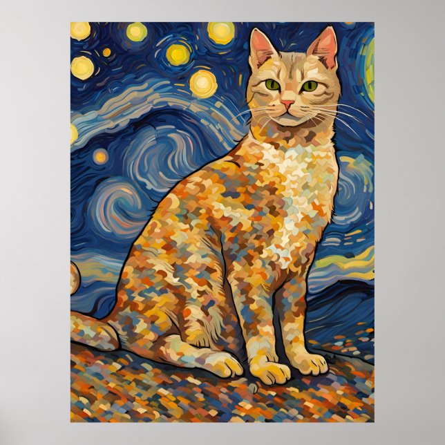 Poster Um gato na noite estrelada (Frente)