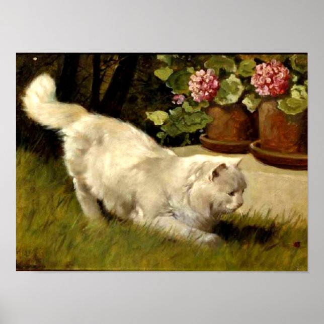 Pôster Um Gato Persa Branco Observando um Ladybug (Frente)