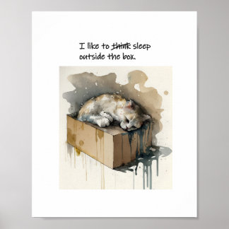 Poster Um Gato Que Gosta De Dormir Fora Da Caixa