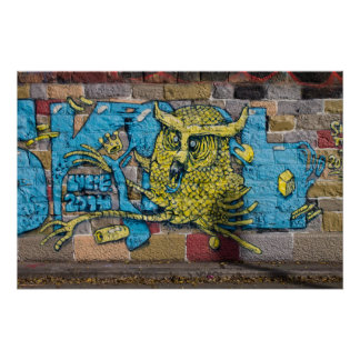 Pôster Um Grafite De Coruja Louco E Fantasia