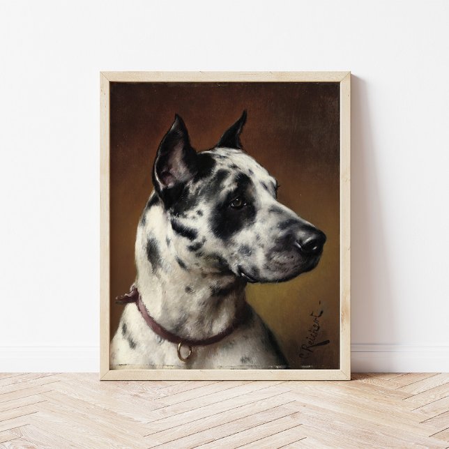 Poster Um Great Dane | Carl Reichert (Criador carregado)