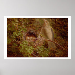 Poster Um Greenfinch em seu ninho, 1877 (óleo no painel)