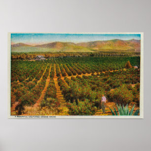 Pôster Um GroveState alaranjado bonito