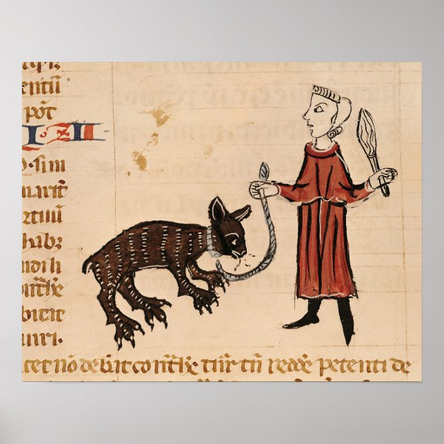 Poster Um Guardião de Urso, de "Decretos de Gratien" (Frente)