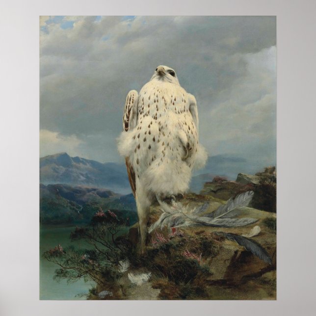 Poster Um Gyfalcon em uma extensa paisagem montanhosa (Frente)