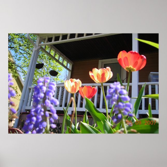 Poster Um Jardim Primavera (Frente)