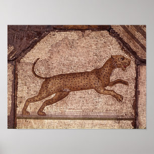 Pôster Um leopardo