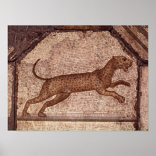 Pôster Um Leopardo (Frente)