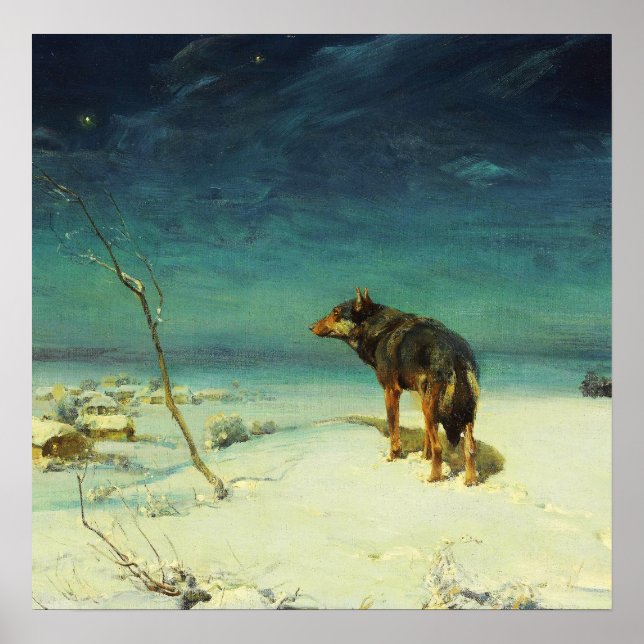 Pôster Um Lobo Solitário Samotny Wilk (Frente)