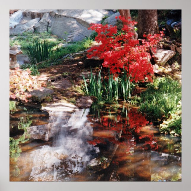 Pôster Um local de cura (Frente)