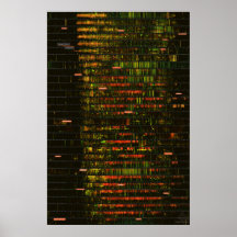 Um mês de sons de Yellowstone