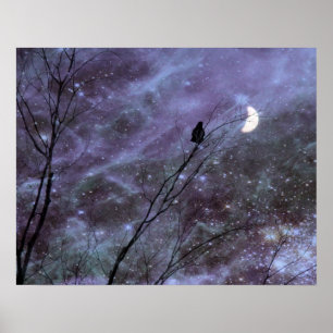 Pôster Um Momento Celestial