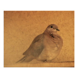 Pôster Um Momento Inocente