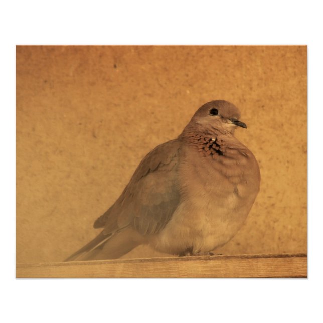 Pôster Um Momento Inocente (Frente)