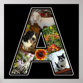 Pôster Um Monograma Cria Sua Própria Colagem de Fotos 6 P