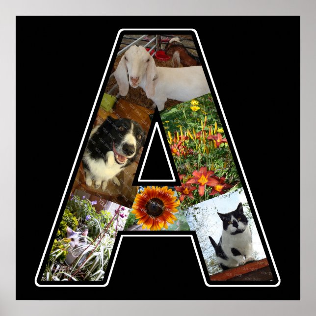 Pôster Um Monograma Cria Sua Própria Colagem de Fotos 6 P (Frente)