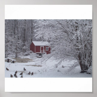 Pôster Um Natal Ducky