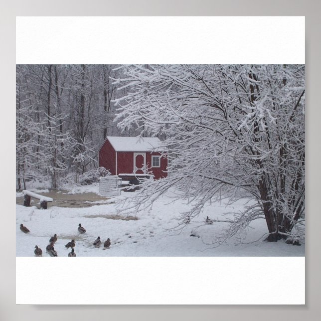 Pôster Um Natal Ducky (Frente)