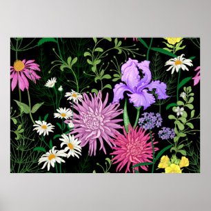 Poster Um padrão de verão perfeito. Camomila de flores 