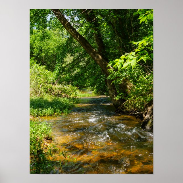 Poster Um País Creek (Frente)