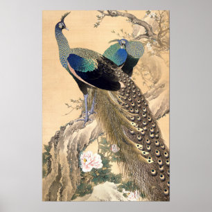 Pôster Um Par de Pavões na Primavera Arte Japonesa de 190