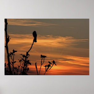 Poster um pássaro na árvore no por do sol