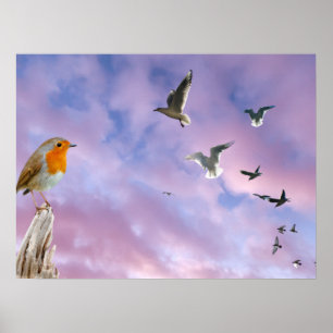 Poster Um pássaro olha para o pôr do sol do céu lindo