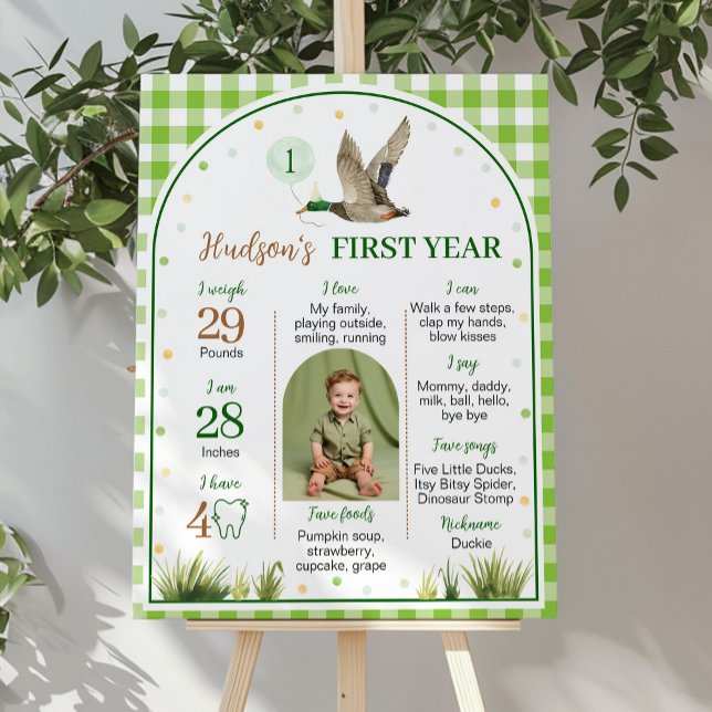 Poster Um Pato Sortudo Verde Gingham Birthday (Criador carregado)