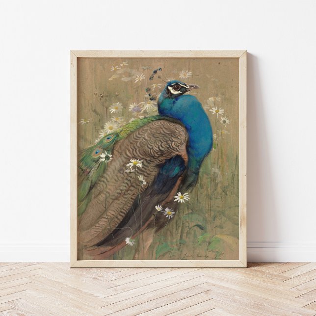 Poster Um Pavão e Margueritas | Edwin John Alexander (Criador carregado)