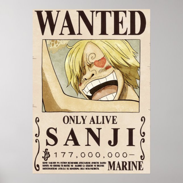 Poster Um pedaço que o segundo Sanji queria (Frente)