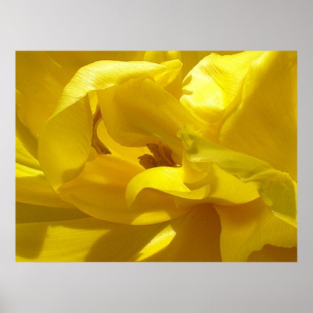 Pôster Um pequeno passo (Frente)