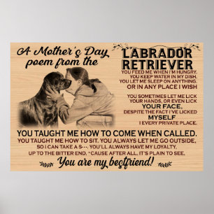 Poster Um poema de dia de as mães do cão labrador