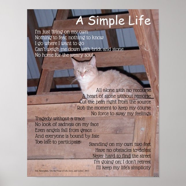 Poster Um poema de vida simples (Frente)
