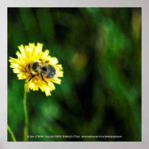 Poster Um Ponto de Amarelo